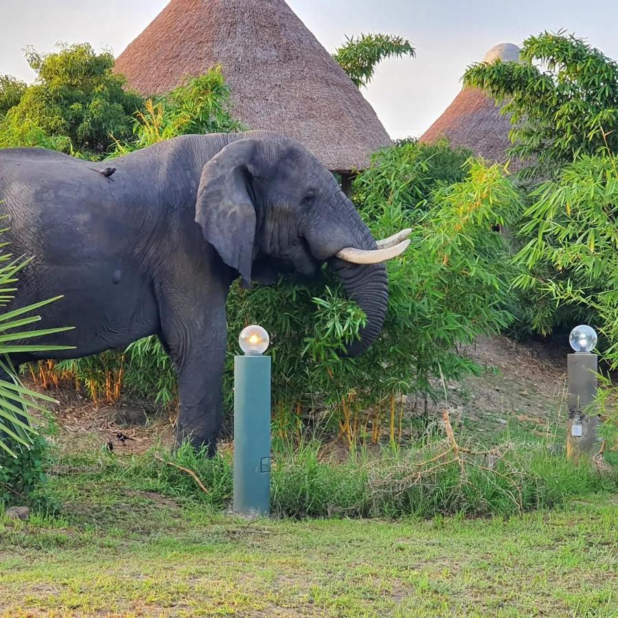 Tilenga Safari Lodge Arua Exterior photo