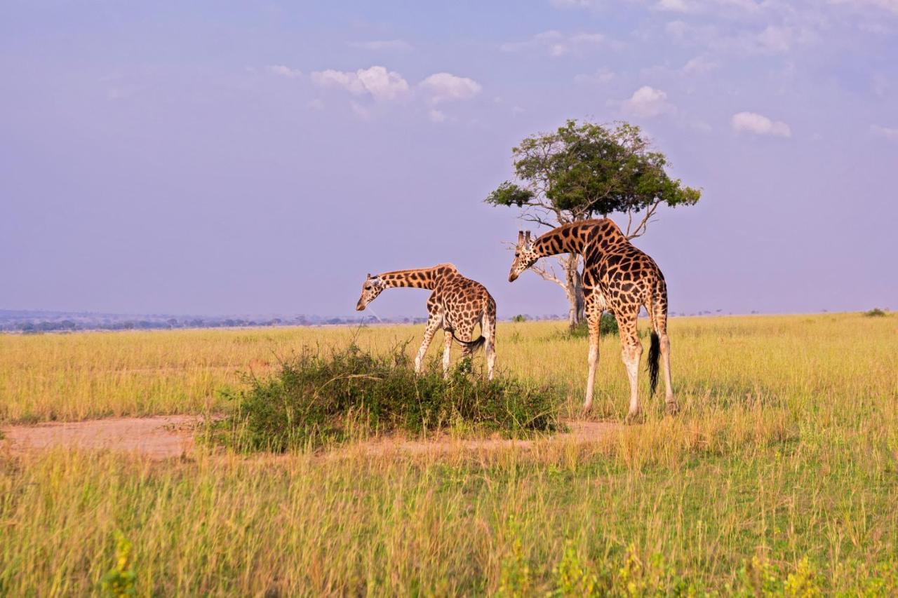 Tilenga Safari Lodge Arua Exterior photo